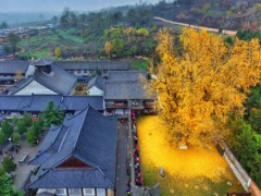 甘肅平?jīng)鍪邪l(fā)布電采暖電價執(zhí)行情況公告